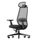 ProtoArc Ergonomic Office Chair – EC200 High-Back Mesh Computer Chair with Lumbar Support, 3D Adjustable Headrest & Sliding Seat for 8+ Hour Comfort, Big & Tall Home Office Desk Chairs - Black