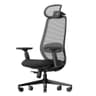 ProtoArc Ergonomic Office Chair – EC200 High-Back Mesh Computer Chair with Lumbar Support, 3D Adjustable Headrest & Sliding Seat for 8+ Hour Comfort, Big & Tall Home Office Desk Chairs - Black