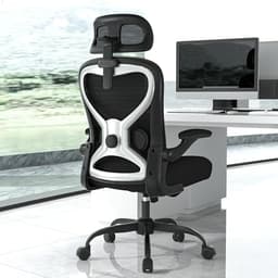 Ergonomic Office Chair, Mesh Desk Chair with Headrest, Lumbar Support, Thick Seat Cushion, Flip-up Arms, High Back Computer Task Chairs for Home Office (English, Black/Silver)