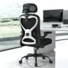 Ergonomic Office Chair, Mesh Desk Chair with Headrest, Lumbar Support, Thick Seat Cushion, Flip-up Arms, High Back Computer Task Chairs for Home Office (English, Black/Silver)