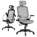 GABRYLLY Ergonomic Office Chair, High Back Home Desk Chair with Headrest, Flip-Up Arms, 90-120° Tilt Lock and Wide Cushion, Big and Tall Mesh Chairs for Man Woman, Grey Task Chair
