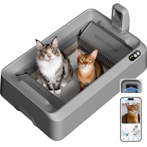 PETKIT Open-Top & AI Camera Self Cleaning Cat Litter Box, Urinary Health Monitor Automatic Cat Litter Box, Smart Robot with 2-Way Raking/5G WiFi/Safety Sensors/Odor Control for Multiple Cats (Grey)