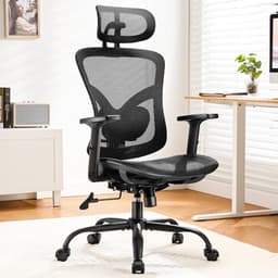 Marsail Ergonomic Mesh Office Chair,Ergonomic Desk Chair with 2D Headrest,Adjustable Lumbar Support & Up and Down Armrest