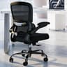 TRALT Office Chair - Ergonomic Desk Chair with Adjustable Lumbar Support, Mesh Computer Chair, Executive Chairs for Home Office Comfortable Lumbar Support (Black)